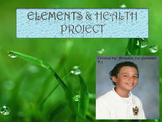 ELEMENTS & HEALTH
     PROJECT

          Created by: Brandon Lee Quinones
          P.3
 