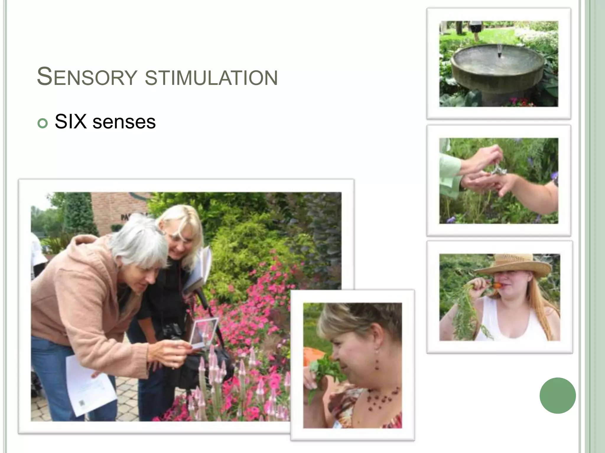 Sensory stimulationSIX senses