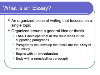 how should an essay be organized