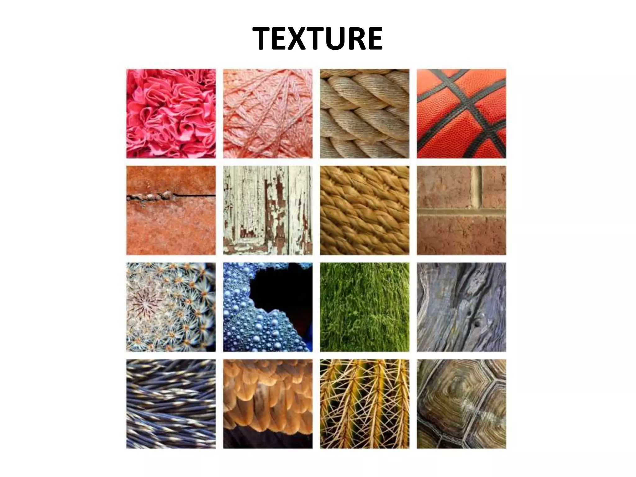 TEXTURE
 