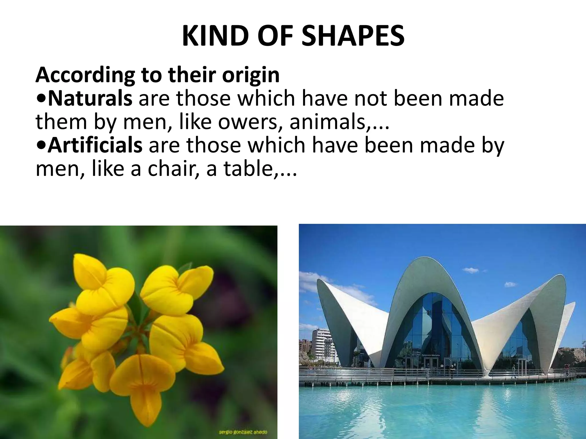 KIND OF SHAPES
According to their origin
•Naturals are those which have not been made
them by men, like owers, animals,...
•Artificials are those which have been made by
men, like a chair, a table,...
 