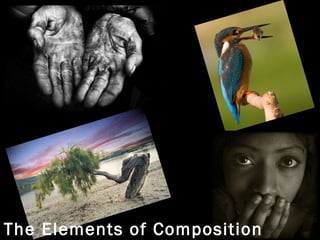 The Elements of Composition 