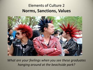 Elements of Culture 2
         Norms, Sanctions, Values




What are your feelings when you see these graduates
      hanging around at the beachside park?
 