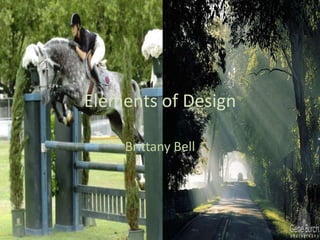 Elements of Design Brittany Bell 