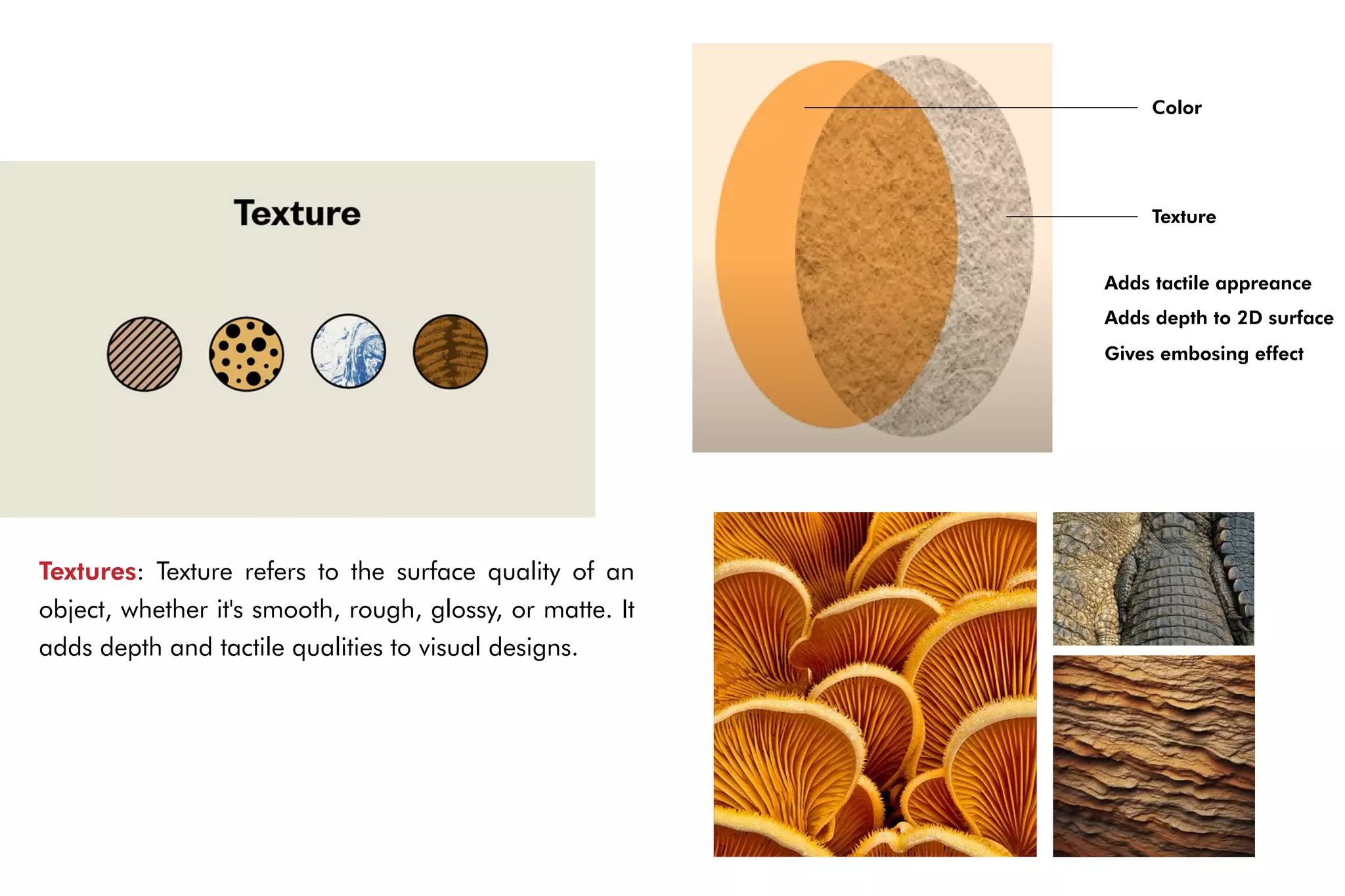 Textures: Texture refers to the surface quality of an
object, whether it's smooth, rough, glossy, or matte. It
adds depth and tactile qualities to visual designs.
Color
Texture
Adds tactile appreance
Adds depth to 2D surface
Gives embosing effect
 