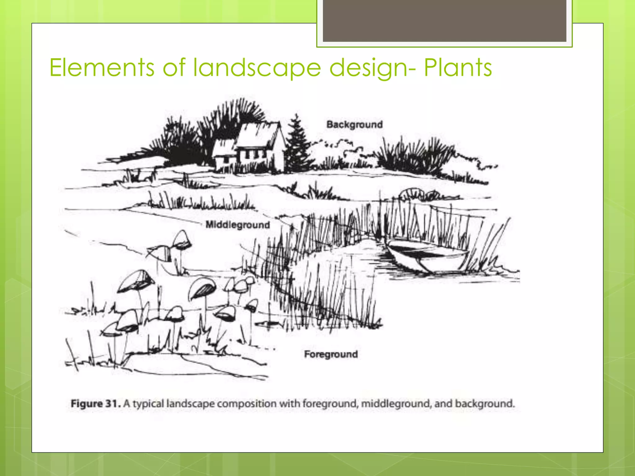 Elements of landscape design- Plants
 