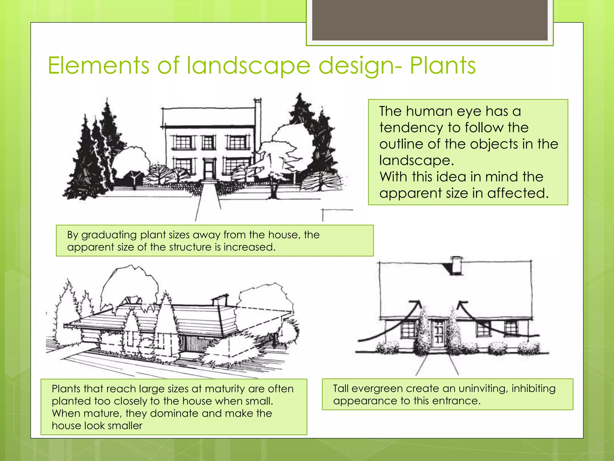 Elements of landscape design- Plants
By graduating plant sizes away from the house, the
apparent size of the structure is increased.
Plants that reach large sizes at maturity are often
planted too closely to the house when small.
When mature, they dominate and make the
house look smaller
Tall evergreen create an uninviting, inhibiting
appearance to this entrance.
The human eye has a
tendency to follow the
outline of the objects in the
landscape.
With this idea in mind the
apparent size in affected.
 