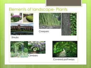 Elements of landscape- Plants
Shrubs
Creepers
Climbers
Covered pathways
 