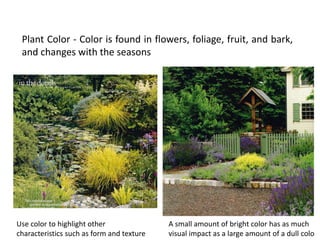 Elements of landscaping | PDF