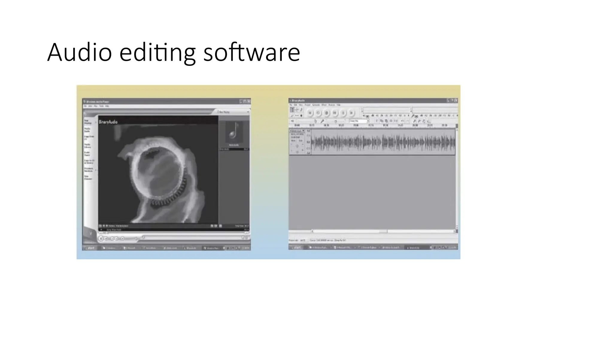 Audio editing software
 