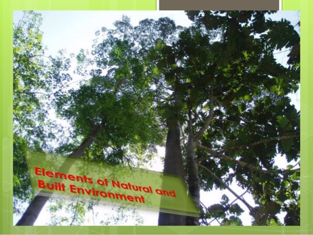 Elements of natural and built environment