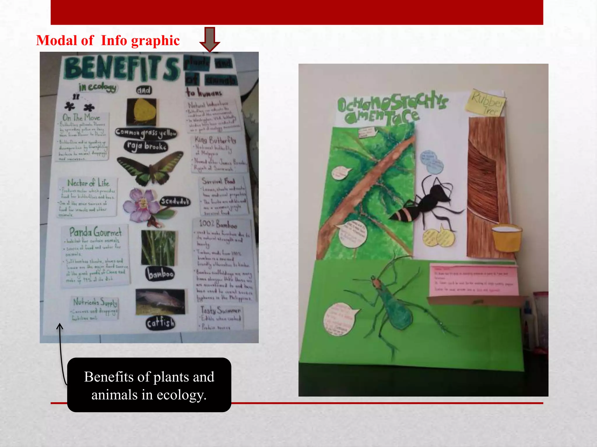 Modal of Info graphic
Benefits of plants and
animals in ecology.
 