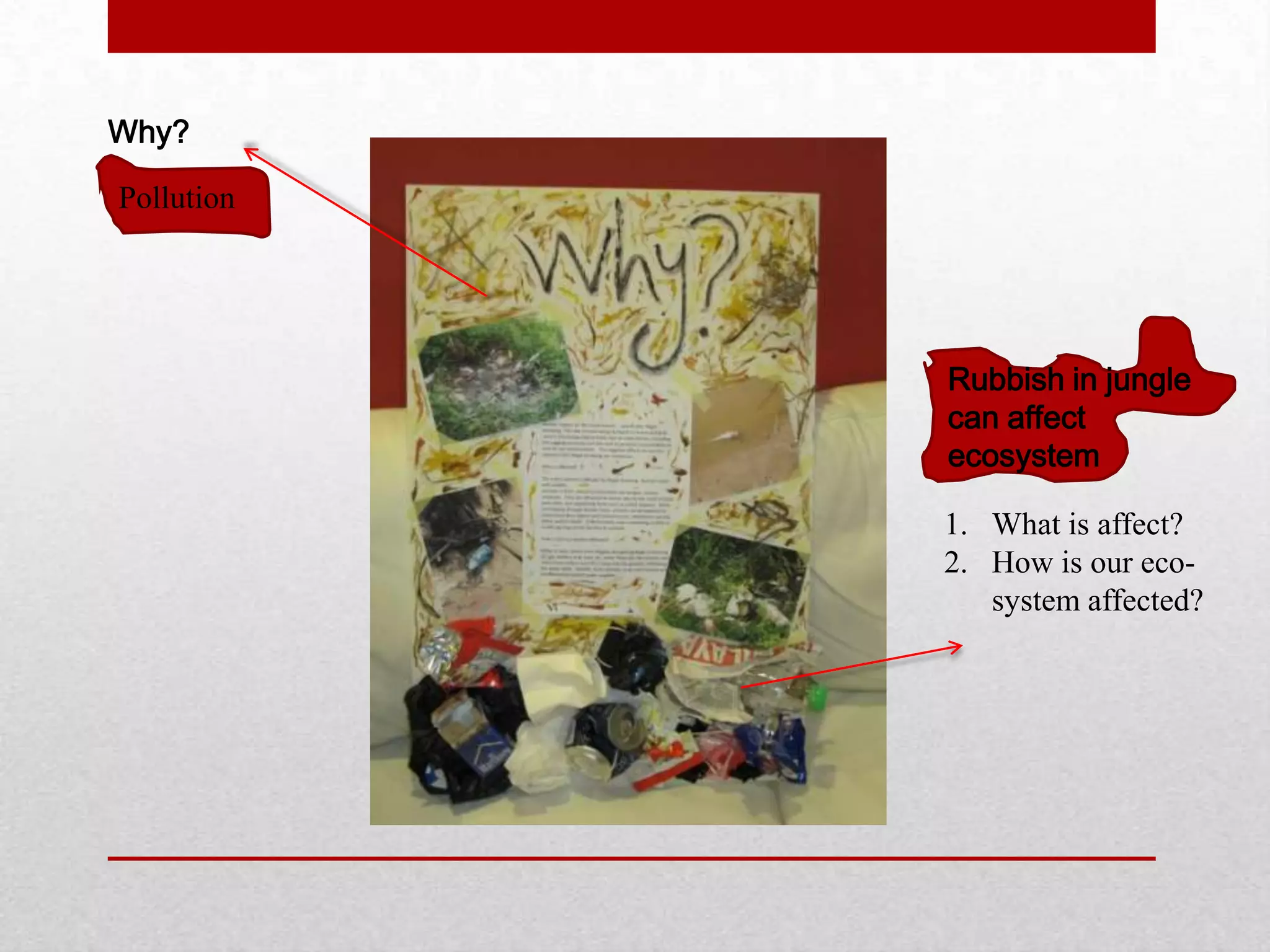 Why?
Pollution
Rubbish in jungle
can affect
ecosystem
1. What is affect?
2. How is our eco-
system affected?
 