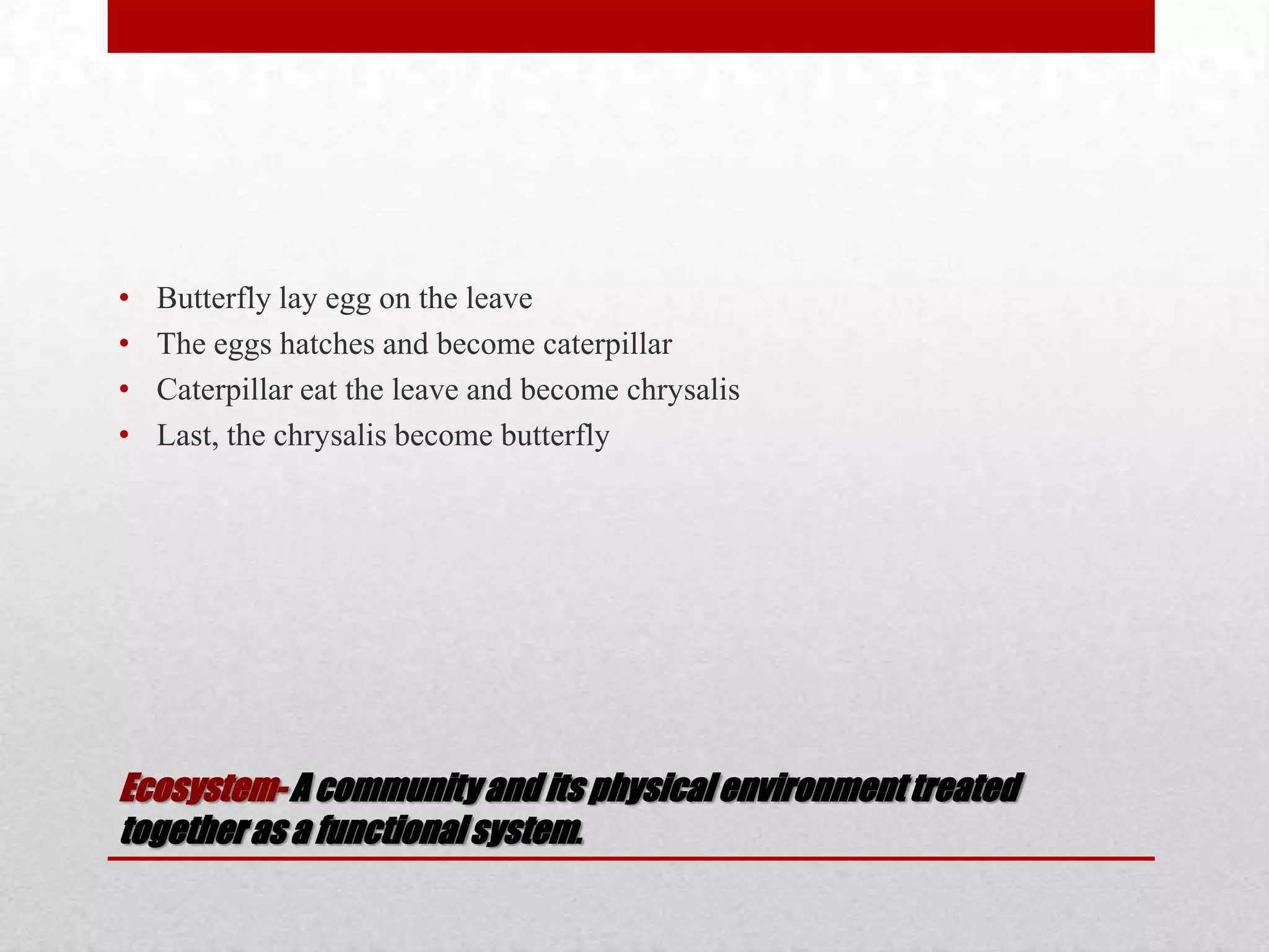 Ecosystem-A communityand its physicalenvironmenttreated
togetheras a functionalsystem.
• Butterfly lay egg on the leave
• The eggs hatches and become caterpillar
• Caterpillar eat the leave and become chrysalis
• Last, the chrysalis become butterfly
 