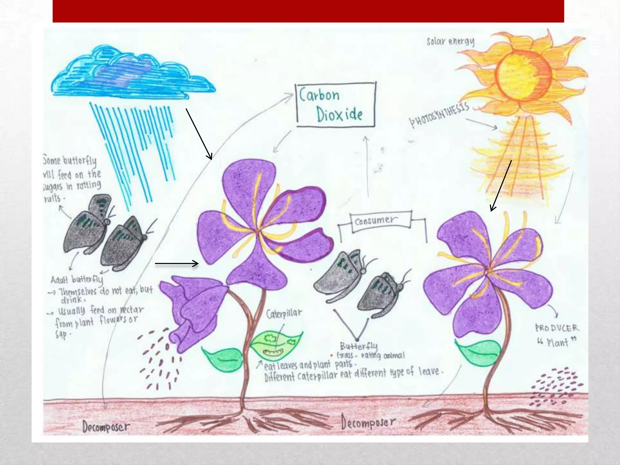 Elements of natural and built environment 2