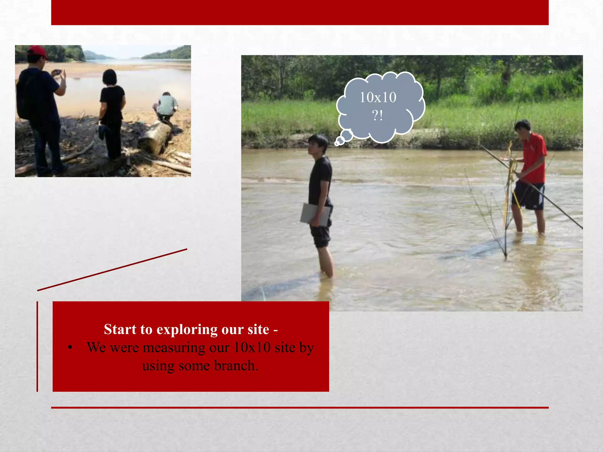 Start to exploring our site -
• We were measuring our 10x10 site by
using some branch.
10x10
?!
 