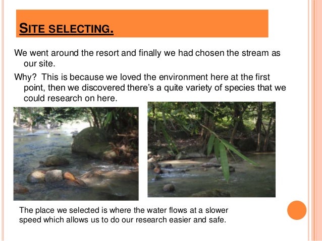 Elements of natural and built environment project one(2)