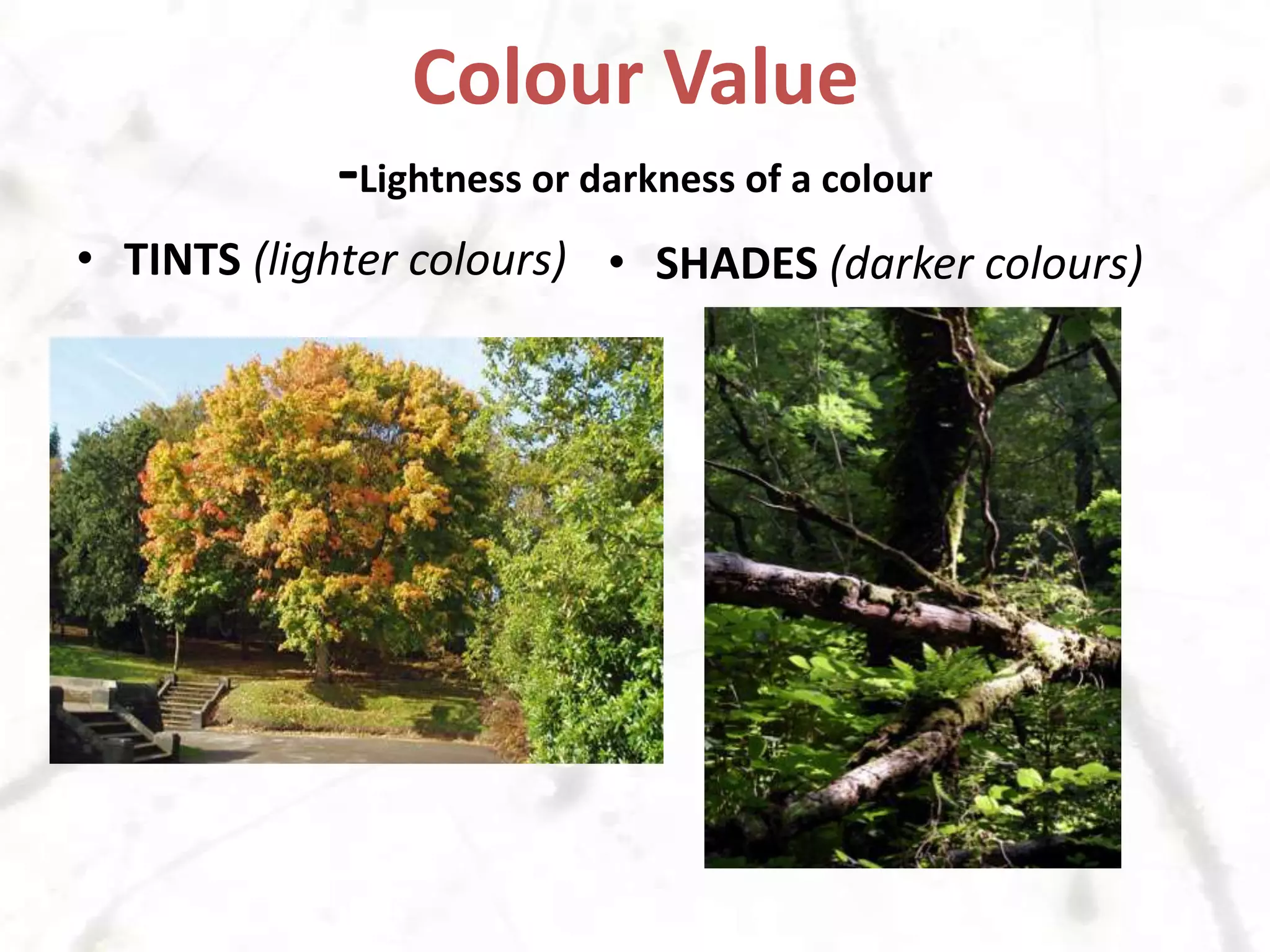 Colour Value-Lightness or darkness of a colourTINTS (lighter colours)SHADES(darker colours)