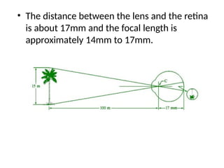 Elements of Visual Perception in digital image processing | PPTX