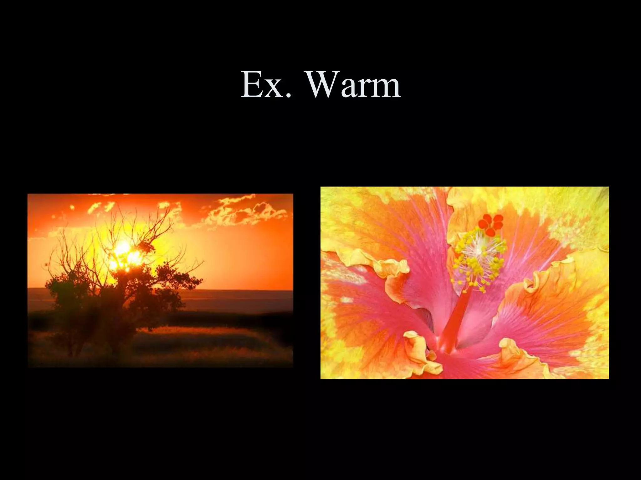 Ex. Warm
 