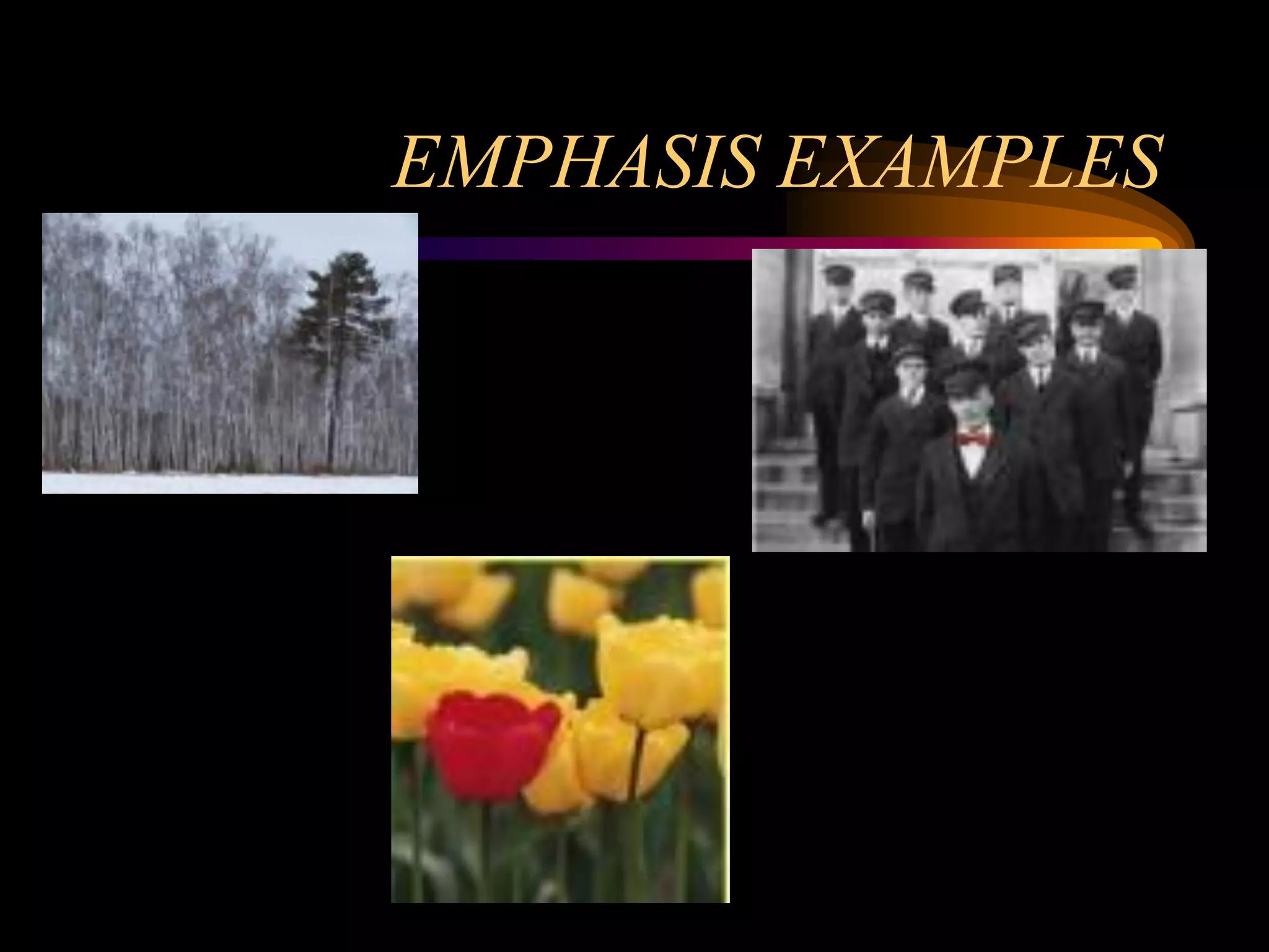 Elements of Art & Photography | PDF