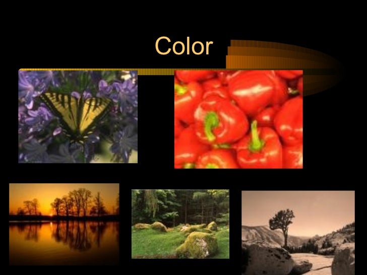 elements and principles of photography