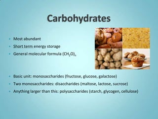    Most abundant
   Short term energy storage
   General molecular formula (CH2O)n




   Basic unit: monosaccharides (fructose, glucose, galactose)
   Two monosaccharides: disaccharides (maltose, lactose, sucrose)
   Anything larger than this: polysaccharides (starch, glycogen, cellulose)
 