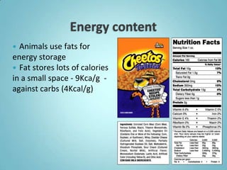  Animals use fats for
energy storage
 Fat stores lots of calories
in a small space - 9Kca/g -
against carbs (4Kcal/g)
 