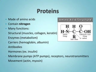  Made of amino acids
 Contain nitrogen
 Many functions:
- Structural (muscles, collagen, keratin)
- Enzymes (metabolism)
- Carriers (hemoglobin, albumin)
- Antibodies
- Hormones (ex. insulin)
- Membrane pumps (ATP pumps), receptors, neurotransmitters
- Movement (actin, myosin)
 