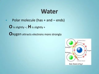      Polar molecule (has + and – ends)
    O is slightly –; H is slightly +
    Oxygen attracts electrons more strongly
 