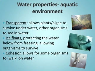  Transparent: allows plants/algae to
survive under water, other organisms
to see in water.
 Ice floats, protecting the water
below from freezing, allowing
organisms to survive
 Cohesion allows for some organisms
to ‘walk’ on water
 