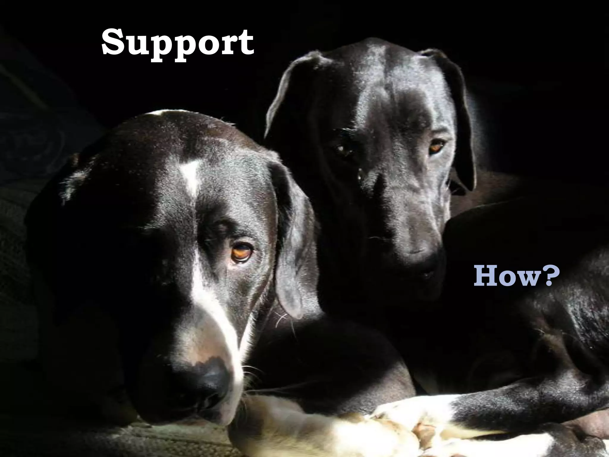 Support




          How?
 