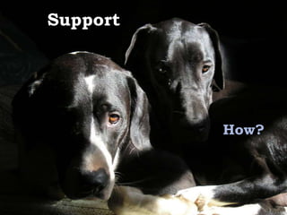 Support




          How?
 