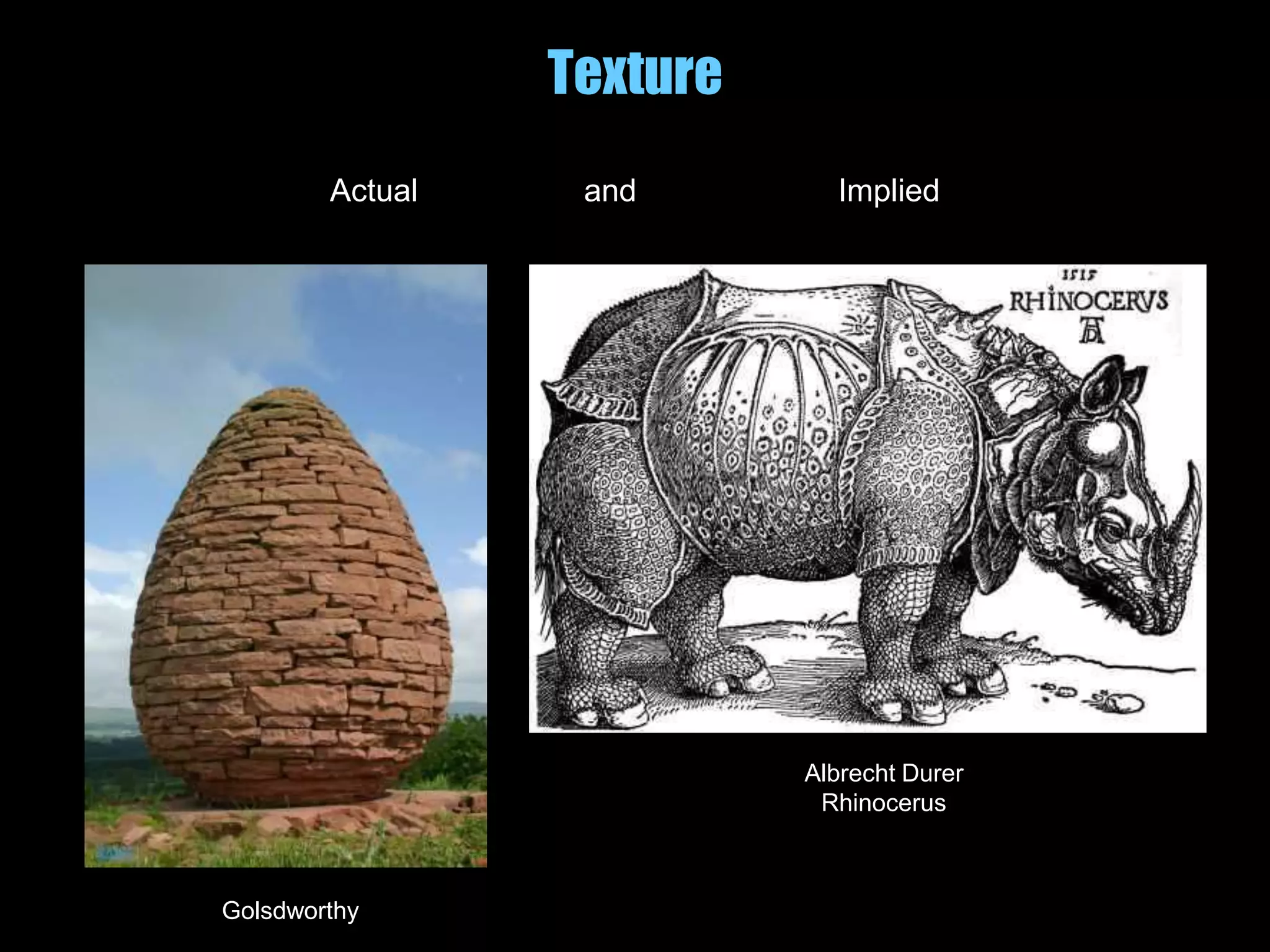 Texture
Actual and Implied
Golsdworthy
Albrecht Durer
Rhinocerus
 