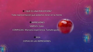 ¿ QUÉ ES UNA PERCEPCIÓN? 
Toda representación que podamos tener en la mente. 
IMPRESIÓNES 
SIMPLES: Color 
COMPLEJAS: Manzana experiencia: Tamaño gusto… 
IDEA 
COPIAS DE LAS IMPRESIONES. 
 