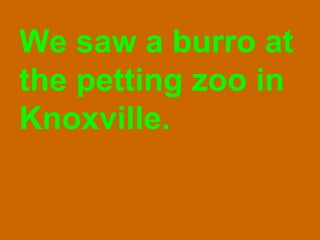 We saw a burro at the petting zoo in Knoxville. 