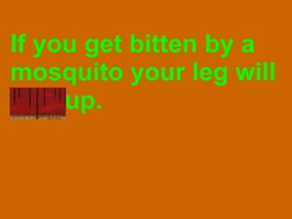 If you get bitten by a mosquito your leg will puff up. 