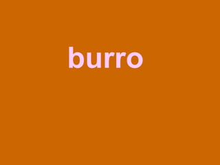 burro 