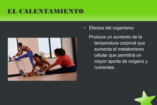    
EL CALENTAMIENTO
●
Efectos del organismo
Produce un aumento de la
temperatura corporal que
aumenta el metaborismo
célular que permitirá un
mayor aporte de oxigeno y
nutrientes.
 