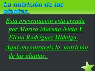La nutrición de las plantas. ,[object Object]