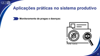 Monitoramento de pragas e doenças:
Fonte: Canva
20
Aplicações práticas no sistema produtivo
 