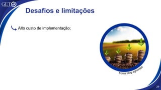 29
Desafios e limitações
Alto custo de implementação;
Fonte:blog.agrointeli
 