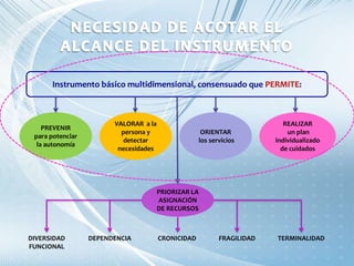 Instrumento básico multidimensional, consensuado que PERMITE:
PREVENIR
para potenciar
la autonomía
VALORAR a la
persona y
detectar
necesidades
ORIENTAR
los servicios
REALIZAR
un plan
individualizado
de cuidados
PRIORIZAR LA
ASIGNACIÓN
DE RECURSOS
DIVERSIDAD
FUNCIONAL
DEPENDENCIA CRONICIDAD FRAGILIDAD TERMINALIDAD
 
