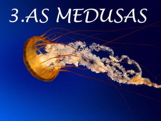 3.AS MEDUSAS
 