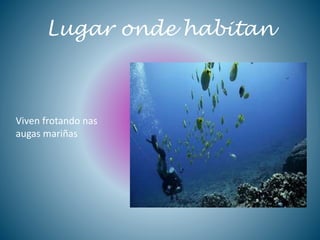 Lugar onde habitan
Viven frotando nas
augas mariñas
 