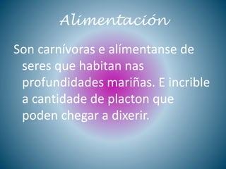 Alimentación
Son carnívoras e alímentanse de
seres que habitan nas
profundidades mariñas. E incrible
a cantidade de placton que
poden chegar a dixerir.
 