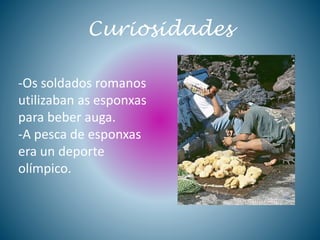 Curiosidades
-Os soldados romanos
utilizaban as esponxas
para beber auga.
-A pesca de esponxas
era un deporte
olímpico.
 