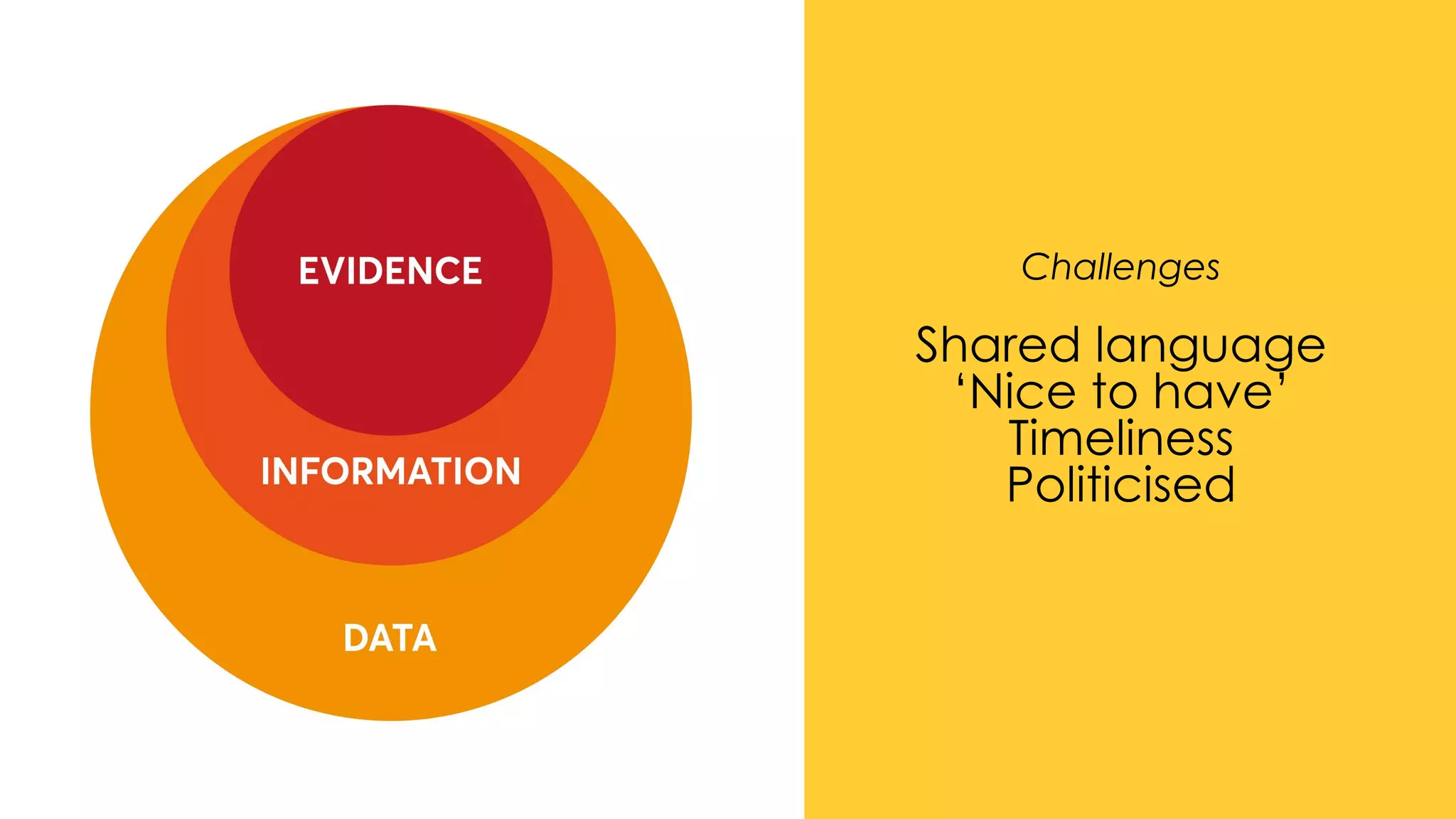Capacity building for evidence informed practice