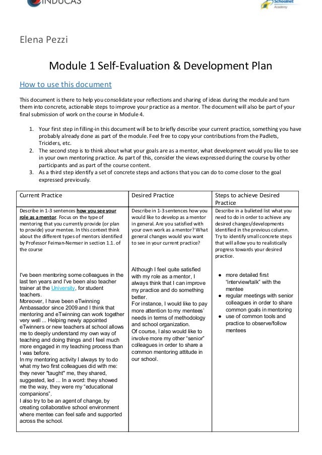 elena pezzi self evaluation template mentoring self evaluation template