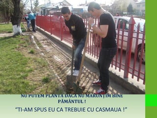 NU PUTEM PLANTA DACĂ NU MĂRUNŢIM BINE
PĂMÂNTUL !
“TI-AM SPUS EU CA TREBUIE CU CASMAUA !”
 